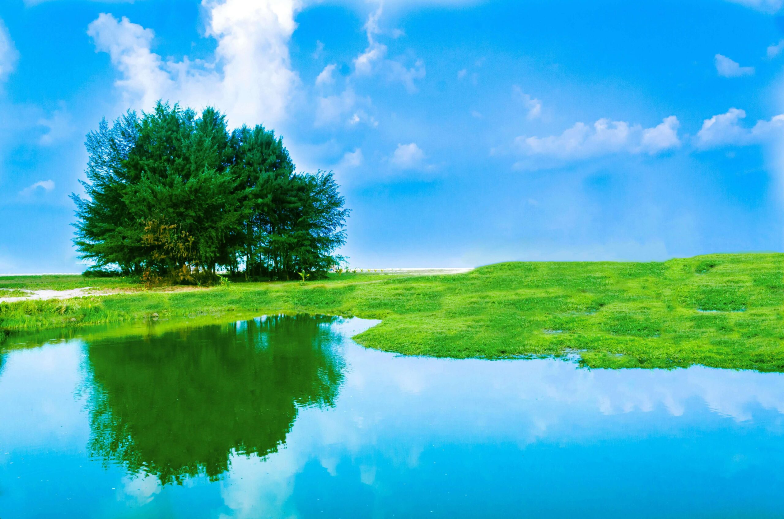 Explicabo est expedita facilis.